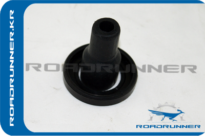 Наконечник RR-90919-02230_
