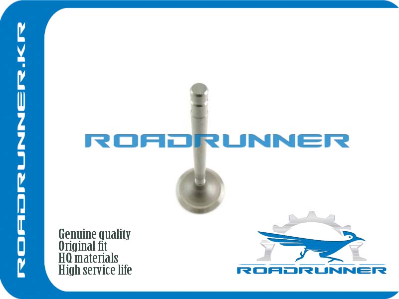 RR-13202-AR000 Клапан выпускной